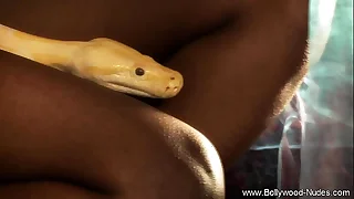 The Most Seductive Ceremony